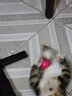 猫玩具 逗猫棒激光笔猫抓板猫转盘球宠物逗猫咪玩具套装 不倒翁小老鼠 实拍图