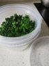 川岛屋葱花保鲜盒冰箱大蒜沥水收纳盒密封塑料水果盒食品储物盒保鲜碗 葱花保鲜盒(三只装) 实拍图