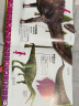 天畅童书 DK儿童恐龙大世界：三叠纪侏罗纪白垩纪的恐龙家族和我们身边的恐龙后裔（2018新版） 晒单实拍图