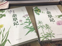 杂草记（全2册） 实拍图