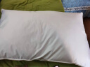 斯诺曼枕头 五星级酒店舒适枕头 纯棉贡缎面料羽毛枕芯 白色 74*48cm 实拍图