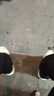 德尔惠（DEERWAY）老爹鞋男鞋2025夏季鞋子男士高帮透气潮流网面运动鞋 米卡其 39 实拍图