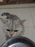 愛肯拿（ACANA）海洋盛宴鱼肉味猫粮1.8kg 成猫幼猫通用粮【美版】 实拍图