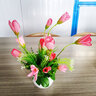 花艺赫家饰仿真花郁金香塑料花小盆栽室内家居餐桌摆件客厅办公桌装饰假花 粉色玉兰苞+白色花瓶套装 实拍图