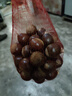 2025福建建瓯锥栗【顺丰配送到家—多地次日达】圆板栗毛栗子油栗 500g 特大果/果径2.6-2.8cm 实拍图