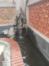 搏仕德潜水泵220V家用污水泵抽水泵农用井用不锈钢清水小型高扬程排污泵 370W清水型 1寸 实拍图