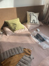网易严选A类【新疆长绒棉】针织条纹四件套纯棉全棉被套床单被罩四季款 【新款】钰灰-烟灰色 1.8m床四件套 床单款 适用2.2*2.4m被芯 实拍图