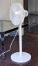 长虹（CHANGHONG）电风扇落地扇家用立式机械电扇台扇摇头电扇空气循环风扇CFS-LD3016T延长线 实拍图