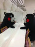 LIV HEART北极熊娃娃毛绒玩具熊公仔玩偶520情人节礼物-北极熊白M 晒单实拍图