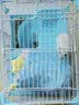 宠尚天 仓鼠棉窝兔子保暖小棉窝刺猬房子松鼠冬天过冬用品屋子棉花睡袋 粉色小兔仓鼠棉窝 实拍图