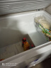 澳柯玛（AUCMA）500升以上冰柜商用大容量卧式冷冻柜超低温-26度大型冻肉速冻柜大冰柜水果茶叶冷藏保鲜冰柜 323升 约装452斤肉 -26℃ 实拍图
