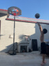 双航 篮球架 室内家用篮球框球架 户外可升降可移动标准高度篮球架 3.4米款(篮筐高度1.2-3.05米) 实拍图