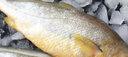 御泸鲜湘【顺丰发货】精选特大黄花鱼新鲜深海大黄鱼宁德黄花鱼1-2斤1条 4斤装【4条】精选高品质 超值 实拍图