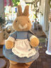 比得兔（Peter Rabbit）玩偶毛绒玩具彼得兔公仔兔子玩偶婴儿玩具比得兔玩偶生日礼物 比得兔夫人25cm 25*18*16 实拍图