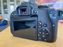 佳能/Canon 500D 600D 700D 800D 850D学生入门拍照摄像高清旅游 二手单反相机 99新 佳能800D+50 1.8 套机小痰盂 标配 实拍图