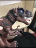 YIER儿童恐龙玩具霸王龙动物模型套装电动大号仿真3-6岁男孩生日礼物 电动霸王龙-棕（两脚滑行走路） 实拍图