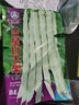 寿禾油菜种子矮脚上海青梗菜蔬菜小白菜快菜夏秋寿光蔬种籽四季青菜 奶油快菜种子250g 实拍图