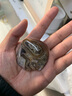 花玲珑 南京雨花石原石天然鹅卵石石头花盆鱼缸装饰彩石头彩色小石子 4-6厘米缠丝纹（1斤6-10颗左右） 实拍图