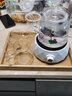正扬 电陶炉煮茶器玻璃烧水壶煮茶壶功夫茶具套装家用养生壶泡茶蒸煮 进水(蒸煮)钻白套+托盘+镶锡荷韵 实拍图
