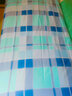 柳伊（Liuei） 纯棉床单宿舍单人床被单单件大学男寝室学生上下铺学校全棉褥单 蓝绿格斜纹 150x220cm床单单件【单人床用】 实拍图