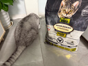 欧恩焙加拿大原装进口无谷低温烘焙配方英短渐层全阶段通用成猫幼猫粮 鸡肉猫粮10磅/4.54kg 实拍图