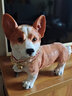 慧祥 创意动物摆件仿真柯基狗摆件礼物家居客厅电视柜酒柜装饰品摆件 黄色柯基狗 实拍图
