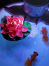 如一花开 仿真睡莲莲花供佛水池鱼缸装饰品浮水摆设荷花荷叶佛堂摆件拍摄道具 17厘米(红色) 实拍图