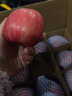 洛川苹果陕西延安红富士时令苹果水果礼盒装糖心苹果生鲜脆甜整箱好吃新鲜 5斤铂金果75-80mm（净重4.5斤） 实拍图