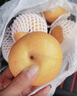 王掌柜山东烟台 莱阳 秋月梨 冰糖脆甜 细腻化汁 甘甜酥脆  甘甜秋月梨 净果4.5斤4-6颗400g+ 实拍图