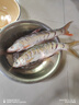 猛将猛将鲢刀6H19调轻量鲢鳙大物竿超轻硬竿翘嘴鱼竿 6.3m 猛将6H19调 轻量大物竿鲢刀 实拍图