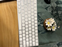 苹果（Apple）鼠标妙控键盘鼠标 二代无线蓝牙充电 Macbook Pro/Air笔记本电脑鼠标 95新苹果二代无线键鼠套装 免费试用 实拍图