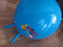 费雪羊角跳跳健身球充气球幼儿园儿童户外加厚玩具球跳跳羊角球多款可选 45cm蓝色动物款 实拍图