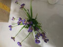 礼赫家饰蝴蝶兰仿真花假花摆设客厅餐桌花摆花绿植小盆栽室内外摆件装饰品 塑料紫色绢布玉兰花+仿瓷花瓶 实拍图