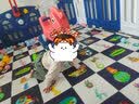 幼贝臣儿童游戏围栏宝宝婴儿学步爬行垫安全护栏栅栏家用室内儿童游乐场 1.86m*2.29m蓝白秋千画板+篮球架摇马滑梯 实拍图