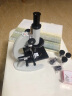 凤凰（Phenix）生物显微镜XSP-06光学放大1600倍 中小学生科学实验家用便携儿童生日礼物 XSP-06-1600X 中配：标配+电光源（更清晰） 实拍图