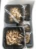 绿食者 新鲜舞茸150g 灰树花菇 食用真菌菌菇 舞茸茶舞菇 实拍图