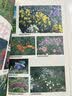 园艺图鉴 家庭阳台种菜植物种植栽培工具使用指南生活家居书籍  后浪正版 实拍图