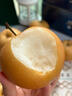 山姆大叔 山东莱阳秋月梨【闪送-多地次日达】冰糖梨子水果礼盒中秋送礼品 【优选级-中果】单果150-250g｜甜 5斤装【超值推荐-80%选择】净4.5 实拍图