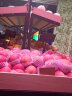 筱典水果货架超市果蔬架蔬菜铁架置物架货物架商用展示柜陈列架水果店 双层带标杆2.4米中岛 晒单实拍图