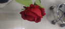 花叙仿真玫瑰花婚礼仿生花装饰生日礼物花束插花客厅绒布假花家居摆件 艳红色（大红）-花朵7cm 1支 实拍图