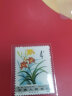 东吴收藏 集邮 1980年到1982年 T49到T72 特种 T字头邮票 3号 T72 药用植物 二组 实拍图