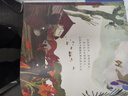 狐狸：生生不息的故事 2022凯特·格林纳威奖提名 孩子更能接受的生命教育6-9-14岁（启发出品） 实拍图