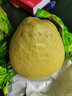 大象芭蕾云南傣柚西双版纳东试早柚青柚子白肉蜜柚新鲜当季水果孕妇水果 大果两个【净重4斤左右】 实拍图