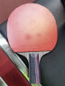 XIOM骄猛 白金V乒乓胶皮 乒乓球反胶套胶79-024 红色MAX 实拍图