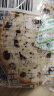 三只松鼠坚果车轮面包500g 核桃果仁健康零食粗粮吐司代餐饱腹大列巴欧包 实拍图