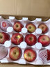 野凰现摘当季云南昭通丑苹果冰糖心苹果水果新鲜脆甜2025新苹果丑苹果 80-85mm大果 5斤净重（彩箱包装） 实拍图
