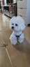 puppytie宠物用品狗狗牵引绳泰迪溜狗绳柯基可爱狗绳子可调节背心式 红-胸背带 XS-超小型建议 4-10斤 实拍图