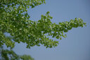 适马（SIGMA） 28-105mm F2.8 DG DN ART全画幅微单相机镜头 大光圈标准变焦镜头 L口 官方标配【下单即送豪礼】 实拍图