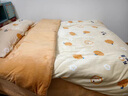 雅鹿 牛奶绒四件套冬季加厚珊瑚绒双面绒法兰绒床单被套床笠床上套件 小橘子【双面加绒 适合裸睡】 1.8m 床单款 四件套-适合200x230cm被芯 实拍图