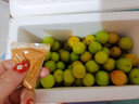 枫小七茂名钱排三华李信宜新鲜三月李早李应季酸脆孕妇水果李子生鲜现摘 三月李3斤大果精选（35-50个/斤）净重1400g 实拍图
